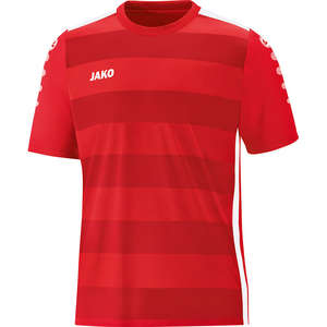 JAKO voetbalshirts KA jersey celtic 2,0 ka