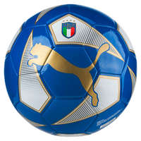 Puma Wereldbeker met licentie Fan Ball | Gr. 5
