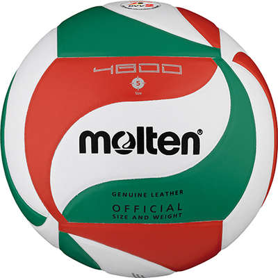 Molten V5M4800
