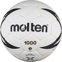 Molten H2X1000